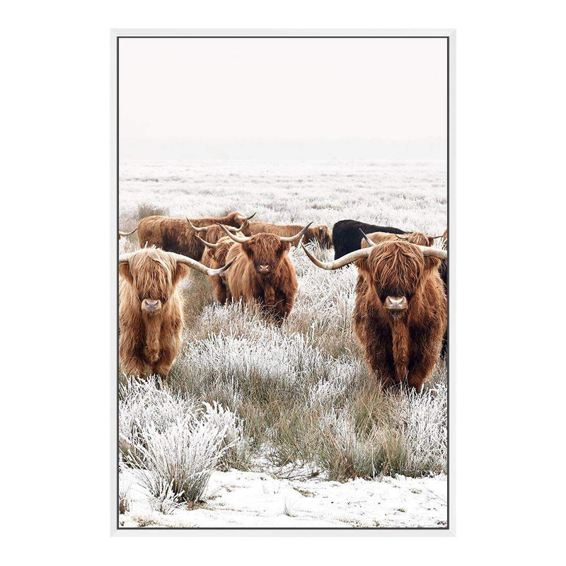 Highland Cattle Herd-The Paper Tree-Artwork,bohemian,boho,CATTLE,framed,framed print,herd,highland bull,highland cattle,highland cow,landscape,nature,premium art print,TAN,wall art,Wall_Art,Wall_Art_Prints