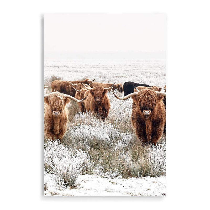 Highland Cattle Herd-The Paper Tree-Artwork,bohemian,boho,CATTLE,framed,framed print,herd,highland bull,highland cattle,highland cow,landscape,nature,premium art print,TAN,wall art,Wall_Art,Wall_Art_Prints