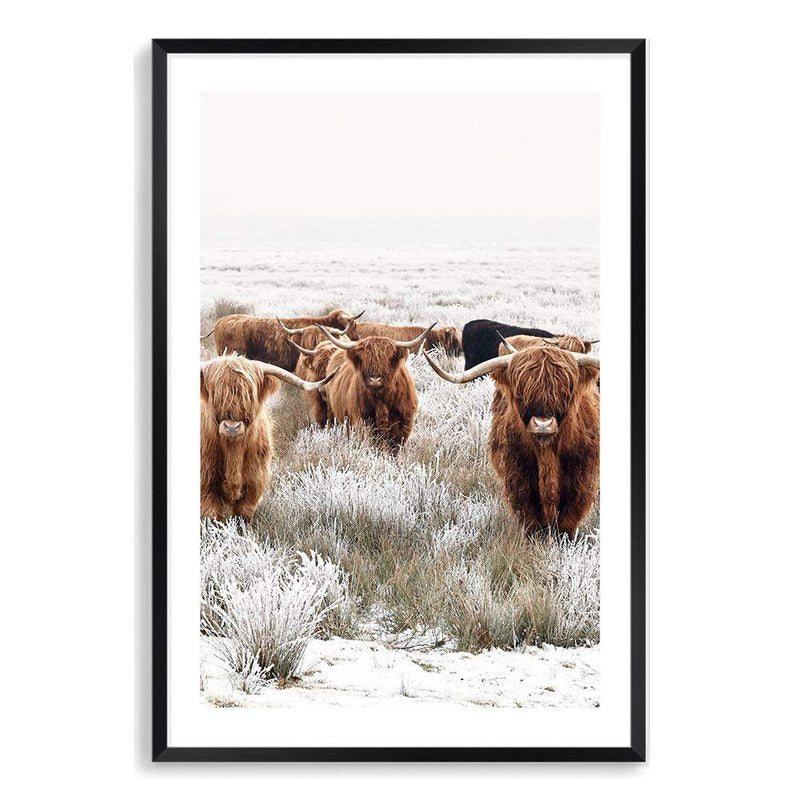 Highland Cattle Herd-The Paper Tree-Artwork,bohemian,boho,CATTLE,framed,framed print,herd,highland bull,highland cattle,highland cow,landscape,nature,premium art print,TAN,wall art,Wall_Art,Wall_Art_Prints