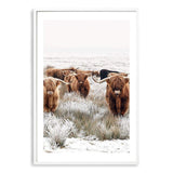 Highland Cattle Herd-The Paper Tree-Artwork,bohemian,boho,CATTLE,framed,framed print,herd,highland bull,highland cattle,highland cow,landscape,nature,premium art print,TAN,wall art,Wall_Art,Wall_Art_Prints