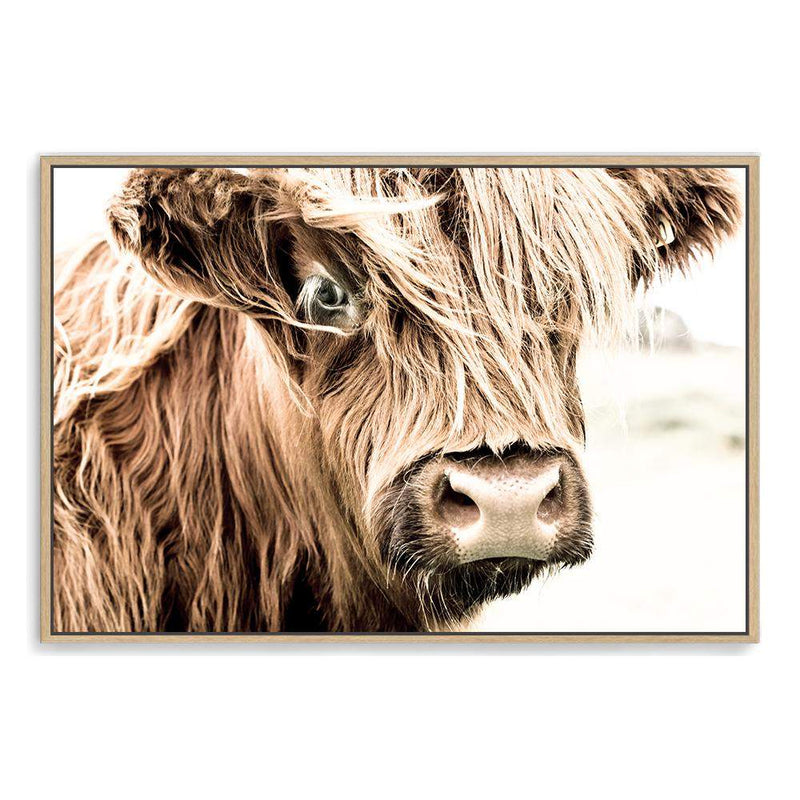 Henderson The Highland Cow-The Paper Tree-animal,bull,cattle,cow,henderson,highland bull,highland cattle,highland cow,landscape,nature,orange,premium art print,TAN,wall art,Wall_Art,Wall_Art_Prints