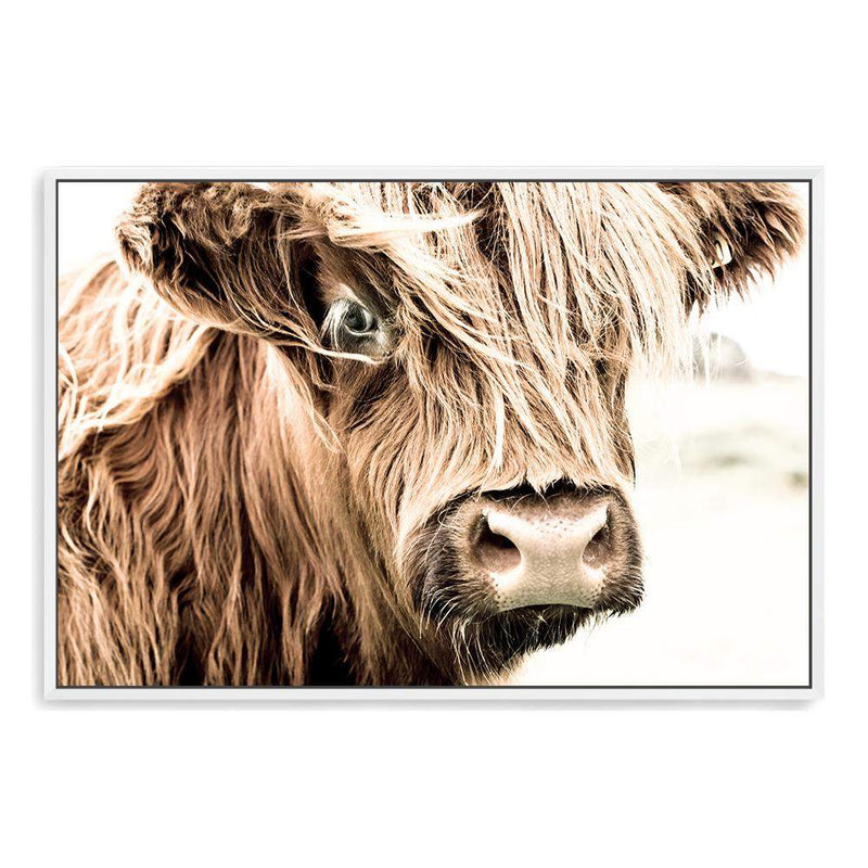 Henderson The Highland Cow-The Paper Tree-animal,bull,cattle,cow,henderson,highland bull,highland cattle,highland cow,landscape,nature,orange,premium art print,TAN,wall art,Wall_Art,Wall_Art_Prints