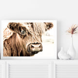 Henderson The Highland Cow-The Paper Tree-animal,bull,cattle,cow,henderson,highland bull,highland cattle,highland cow,landscape,nature,orange,premium art print,TAN,wall art,Wall_Art,Wall_Art_Prints