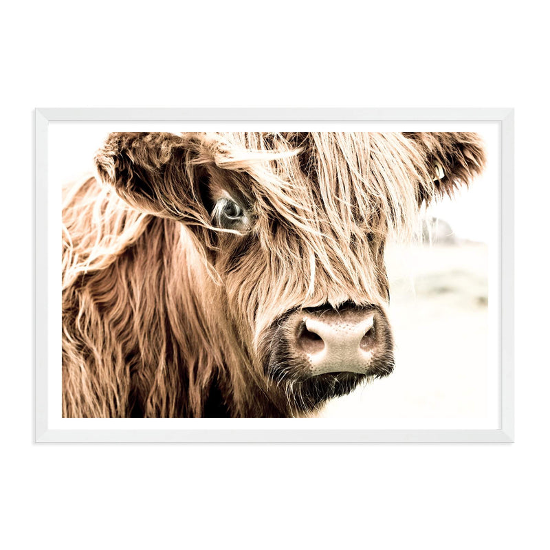 Henderson The Highland Cow-The Paper Tree-animal,bull,cattle,cow,henderson,highland bull,highland cattle,highland cow,landscape,nature,orange,premium art print,TAN,wall art,Wall_Art,Wall_Art_Prints