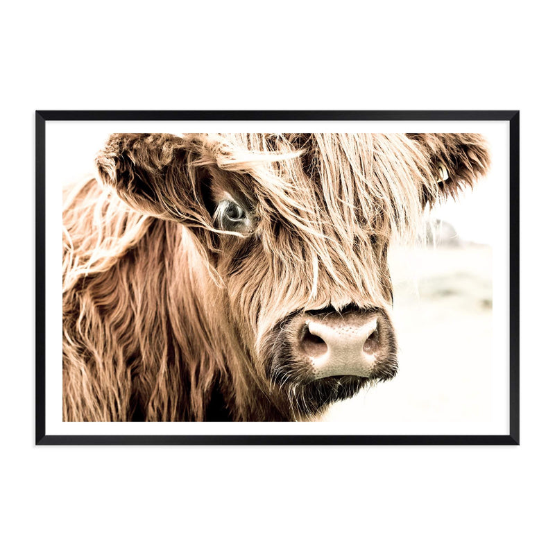 Henderson The Highland Cow-The Paper Tree-animal,bull,cattle,cow,henderson,highland bull,highland cattle,highland cow,landscape,nature,orange,premium art print,TAN,wall art,Wall_Art,Wall_Art_Prints