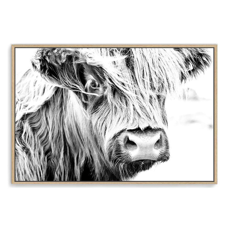 Henderson The Highland Cow II-The Paper Tree-animal,black & white,BLACK AND WHITE,bull,cattle,cow,henderson,highland bull,highland cattle,highland cow,landscape,monochrome,nature,premium art print,wall art,Wall_Art,Wall_Art_Prints