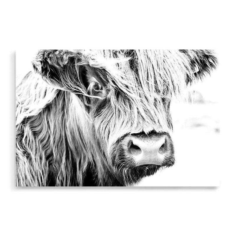 Henderson The Highland Cow II-The Paper Tree-animal,black & white,BLACK AND WHITE,bull,cattle,cow,henderson,highland bull,highland cattle,highland cow,landscape,monochrome,nature,premium art print,wall art,Wall_Art,Wall_Art_Prints