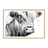 Henderson The Highland Cow II-The Paper Tree-animal,black & white,BLACK AND WHITE,bull,cattle,cow,henderson,highland bull,highland cattle,highland cow,landscape,monochrome,nature,premium art print,wall art,Wall_Art,Wall_Art_Prints