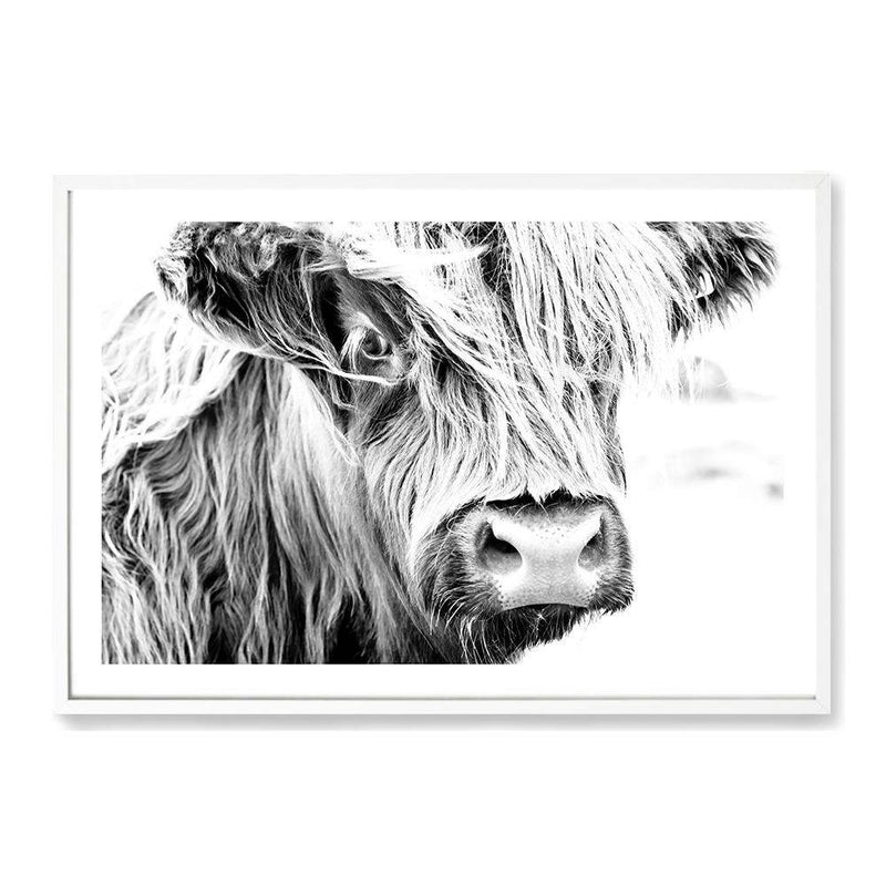 Henderson The Highland Cow II-The Paper Tree-animal,black & white,BLACK AND WHITE,bull,cattle,cow,henderson,highland bull,highland cattle,highland cow,landscape,monochrome,nature,premium art print,wall art,Wall_Art,Wall_Art_Prints