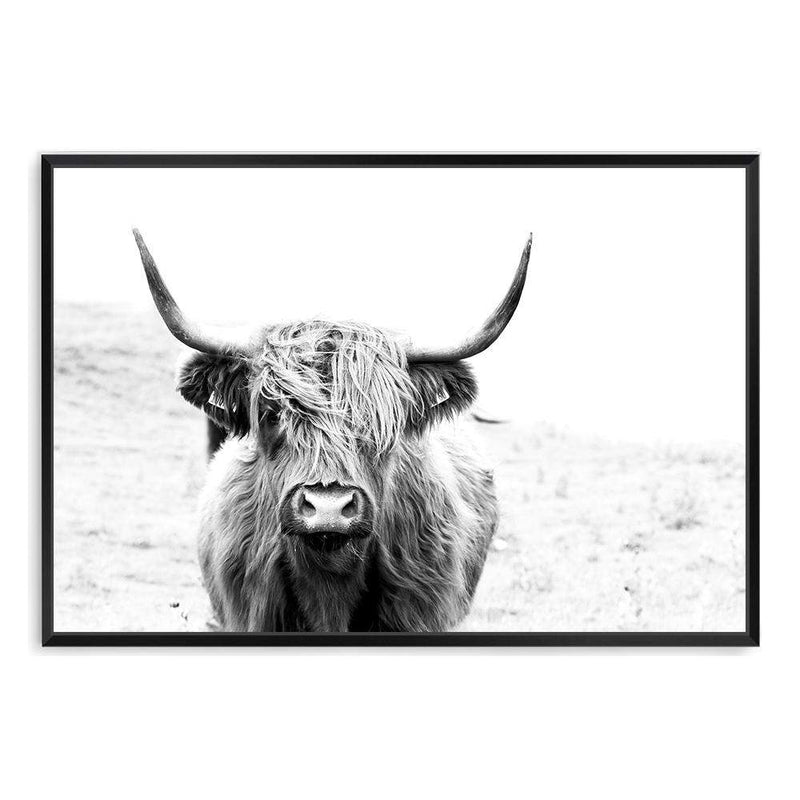 Harvey The Highland Cow II-The Paper Tree-animal,black & white,bull,cattle,cow,harvey,highland bull,highland cattle,highland cow,landscape,monochrome,nature,premium art print,wall art,Wall_Art,Wall_Art_Prints