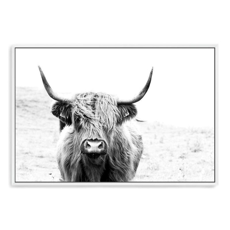 Harvey The Highland Cow II-The Paper Tree-animal,black & white,bull,cattle,cow,harvey,highland bull,highland cattle,highland cow,landscape,monochrome,nature,premium art print,wall art,Wall_Art,Wall_Art_Prints