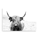 Harvey The Highland Cow II-The Paper Tree-animal,black & white,bull,cattle,cow,harvey,highland bull,highland cattle,highland cow,landscape,monochrome,nature,premium art print,wall art,Wall_Art,Wall_Art_Prints