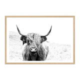 Harvey The Highland Cow II-The Paper Tree-animal,black & white,bull,cattle,cow,harvey,highland bull,highland cattle,highland cow,landscape,monochrome,nature,premium art print,wall art,Wall_Art,Wall_Art_Prints