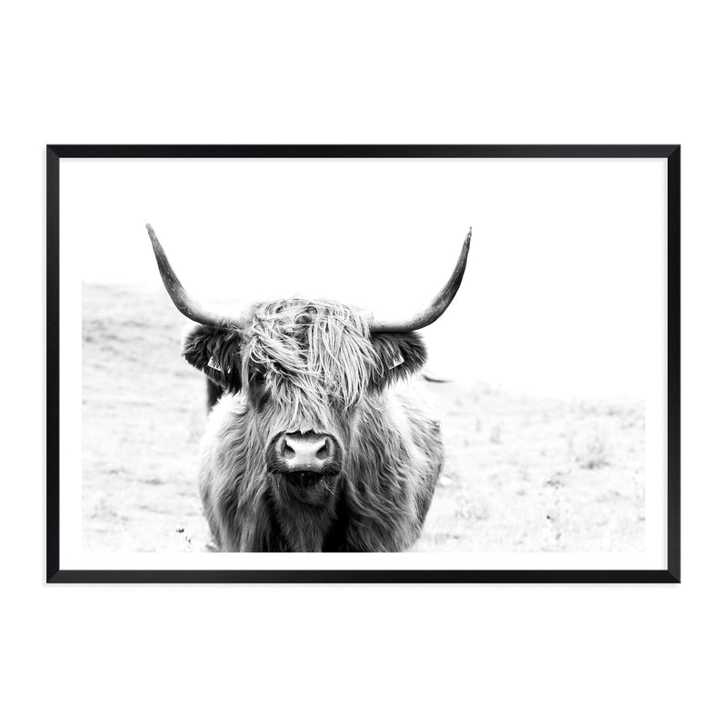 Harvey The Highland Cow II-The Paper Tree-animal,black & white,bull,cattle,cow,harvey,highland bull,highland cattle,highland cow,landscape,monochrome,nature,premium art print,wall art,Wall_Art,Wall_Art_Prints