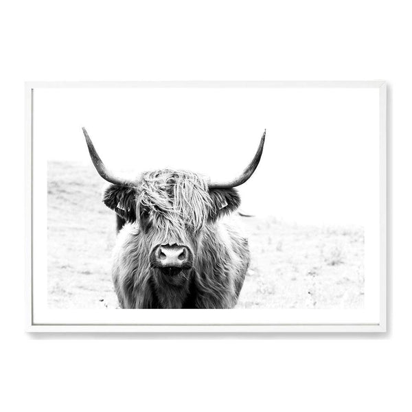 Harvey The Highland Cow II-The Paper Tree-animal,black & white,bull,cattle,cow,harvey,highland bull,highland cattle,highland cow,landscape,monochrome,nature,premium art print,wall art,Wall_Art,Wall_Art_Prints