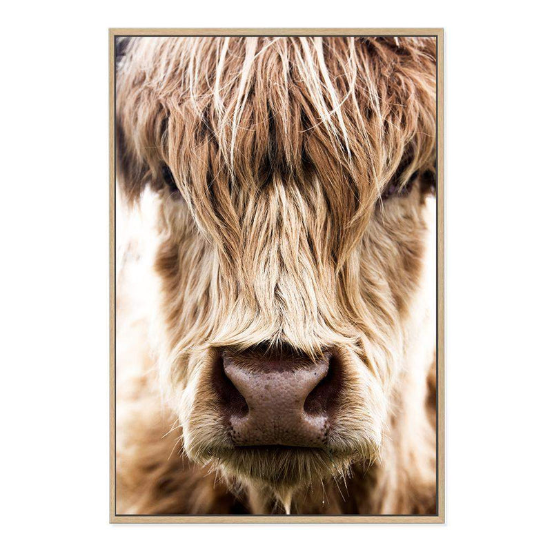 Highland Cow Portrait-The Paper Tree-Artwork,bohemian,boho,CATTLE,framed,framed print,herd,highland bull,highland cattle,highland cow,nature,portrait,premium art print,TAN,wall art,Wall_Art,Wall_Art_Prints