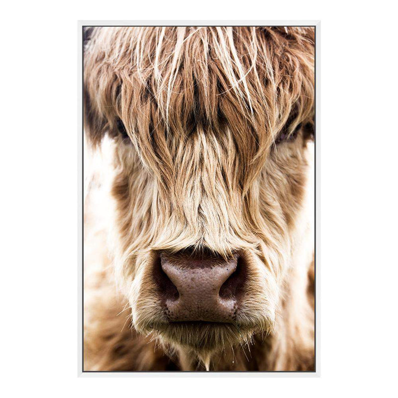 Highland Cow Portrait-The Paper Tree-Artwork,bohemian,boho,CATTLE,framed,framed print,herd,highland bull,highland cattle,highland cow,nature,portrait,premium art print,TAN,wall art,Wall_Art,Wall_Art_Prints