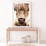 Highland Cow Portrait-The Paper Tree-Artwork,bohemian,boho,CATTLE,framed,framed print,herd,highland bull,highland cattle,highland cow,nature,portrait,premium art print,TAN,wall art,Wall_Art,Wall_Art_Prints