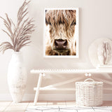 Highland Cow Portrait-The Paper Tree-Artwork,bohemian,boho,CATTLE,framed,framed print,herd,highland bull,highland cattle,highland cow,nature,portrait,premium art print,TAN,wall art,Wall_Art,Wall_Art_Prints