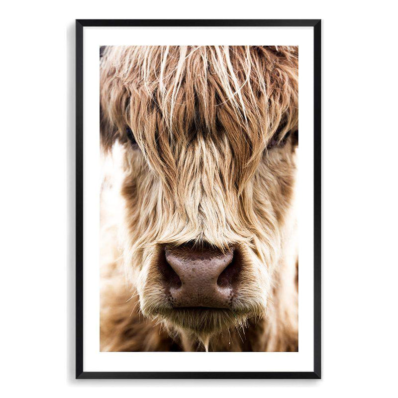 Highland Cow Portrait-The Paper Tree-Artwork,bohemian,boho,CATTLE,framed,framed print,herd,highland bull,highland cattle,highland cow,nature,portrait,premium art print,TAN,wall art,Wall_Art,Wall_Art_Prints