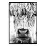 Highland Cow Portrait II-The Paper Tree-Artwork,black & white,BLACK AND WHITE,bohemian,boho,CATTLE,framed,framed print,herd,highland bull,highland cattle,highland cow,monochrome,nature,portrait,premium art print,wall art,Wall_Art,Wall_Art_Prints