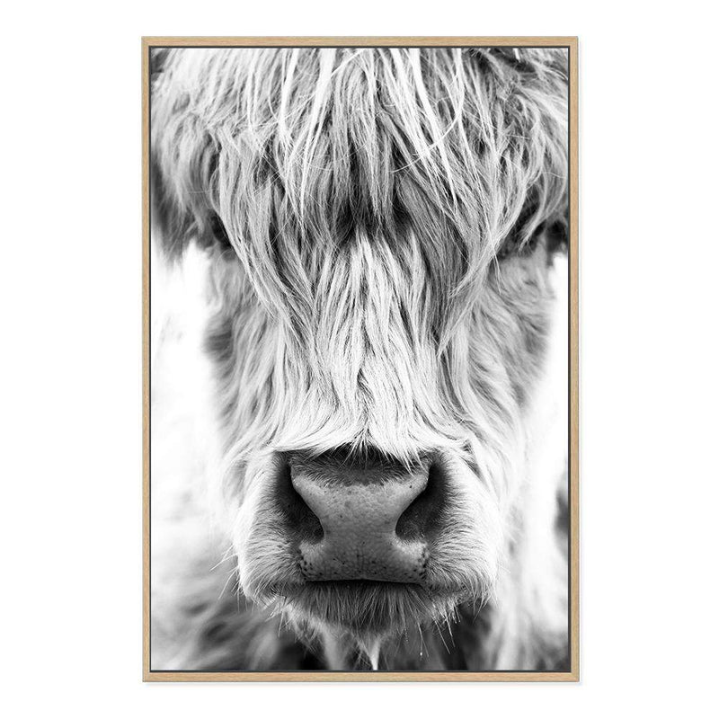 Highland Cow Portrait II-The Paper Tree-Artwork,black & white,BLACK AND WHITE,bohemian,boho,CATTLE,framed,framed print,herd,highland bull,highland cattle,highland cow,monochrome,nature,portrait,premium art print,wall art,Wall_Art,Wall_Art_Prints