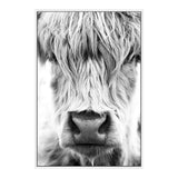 Highland Cow Portrait II-The Paper Tree-Artwork,black & white,BLACK AND WHITE,bohemian,boho,CATTLE,framed,framed print,herd,highland bull,highland cattle,highland cow,monochrome,nature,portrait,premium art print,wall art,Wall_Art,Wall_Art_Prints