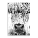 Highland Cow Portrait II-The Paper Tree-Artwork,black & white,BLACK AND WHITE,bohemian,boho,CATTLE,framed,framed print,herd,highland bull,highland cattle,highland cow,monochrome,nature,portrait,premium art print,wall art,Wall_Art,Wall_Art_Prints