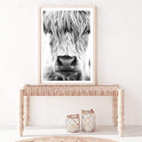 Highland Cow Portrait II-The Paper Tree-Artwork,black & white,BLACK AND WHITE,bohemian,boho,CATTLE,framed,framed print,herd,highland bull,highland cattle,highland cow,monochrome,nature,portrait,premium art print,wall art,Wall_Art,Wall_Art_Prints