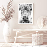 Highland Cow Portrait II-The Paper Tree-Artwork,black & white,BLACK AND WHITE,bohemian,boho,CATTLE,framed,framed print,herd,highland bull,highland cattle,highland cow,monochrome,nature,portrait,premium art print,wall art,Wall_Art,Wall_Art_Prints