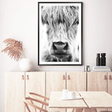 Highland Cow Portrait II-The Paper Tree-Artwork,black & white,BLACK AND WHITE,bohemian,boho,CATTLE,framed,framed print,herd,highland bull,highland cattle,highland cow,monochrome,nature,portrait,premium art print,wall art,Wall_Art,Wall_Art_Prints