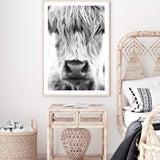 Highland Cow Portrait II-The Paper Tree-Artwork,black & white,BLACK AND WHITE,bohemian,boho,CATTLE,framed,framed print,herd,highland bull,highland cattle,highland cow,monochrome,nature,portrait,premium art print,wall art,Wall_Art,Wall_Art_Prints