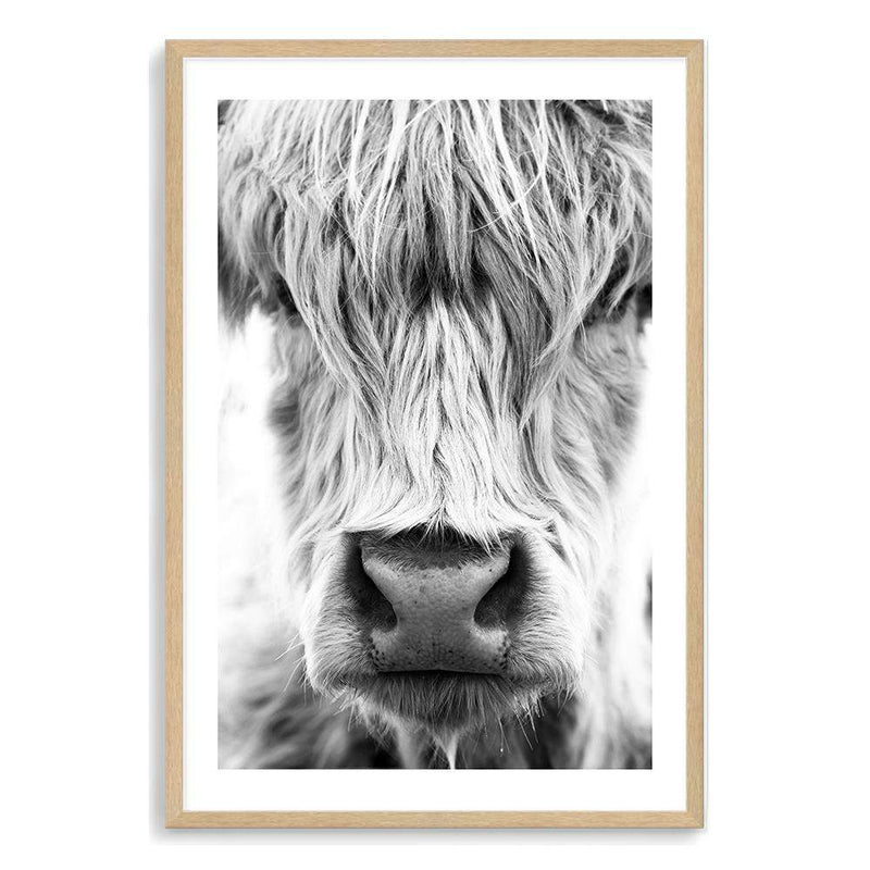 Highland Cow Portrait II-The Paper Tree-Artwork,black & white,BLACK AND WHITE,bohemian,boho,CATTLE,framed,framed print,herd,highland bull,highland cattle,highland cow,monochrome,nature,portrait,premium art print,wall art,Wall_Art,Wall_Art_Prints