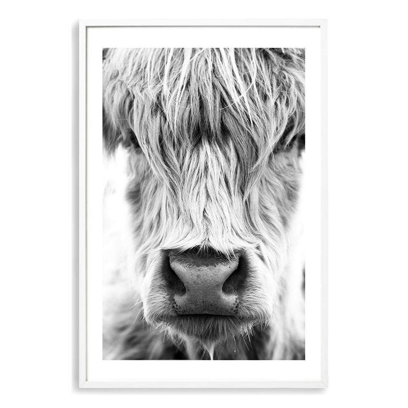 Highland Cow Portrait II-The Paper Tree-Artwork,black & white,BLACK AND WHITE,bohemian,boho,CATTLE,framed,framed print,herd,highland bull,highland cattle,highland cow,monochrome,nature,portrait,premium art print,wall art,Wall_Art,Wall_Art_Prints