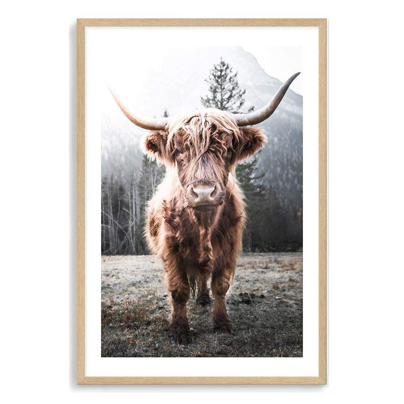 Humphry The Highland Cow-The Paper Tree-Artwork,bohemian,boho,highland bull,highland cattle,highland cow,nature,portrait,premium art print,TAN,wall art,Wall_Art,Wall_Art_Prints