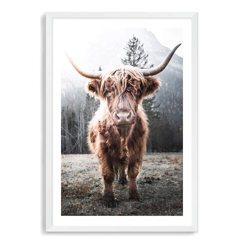 Humphry The Highland Cow-The Paper Tree-Artwork,bohemian,boho,highland bull,highland cattle,highland cow,nature,portrait,premium art print,TAN,wall art,Wall_Art,Wall_Art_Prints