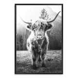 Humphry The Highland Cow II-The Paper Tree-Artwork,black & white,black and white,bohemian,boho,highland bull,highland cattle,highland cow,monochrome,nature,portrait,premium art print,wall art,Wall_Art,Wall_Art_Prints