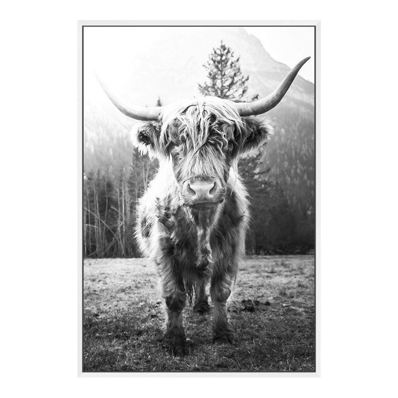 Humphry The Highland Cow II-The Paper Tree-Artwork,black & white,black and white,bohemian,boho,highland bull,highland cattle,highland cow,monochrome,nature,portrait,premium art print,wall art,Wall_Art,Wall_Art_Prints