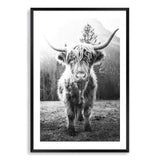 Humphry The Highland Cow II-The Paper Tree-Artwork,black & white,black and white,bohemian,boho,highland bull,highland cattle,highland cow,monochrome,nature,portrait,premium art print,wall art,Wall_Art,Wall_Art_Prints