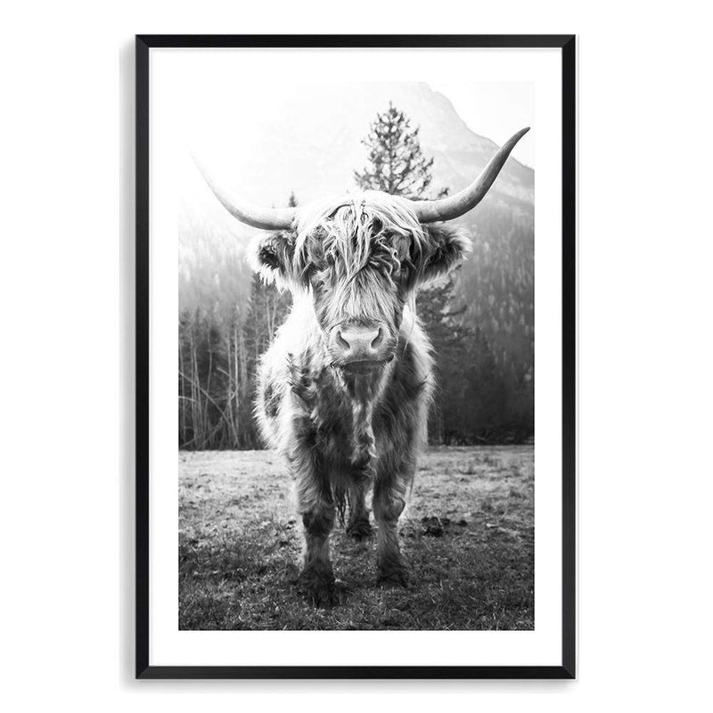 Humphry The Highland Cow II-The Paper Tree-Artwork,black & white,black and white,bohemian,boho,highland bull,highland cattle,highland cow,monochrome,nature,portrait,premium art print,wall art,Wall_Art,Wall_Art_Prints