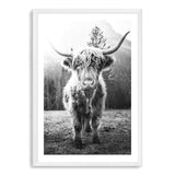 Humphry The Highland Cow II-The Paper Tree-Artwork,black & white,black and white,bohemian,boho,highland bull,highland cattle,highland cow,monochrome,nature,portrait,premium art print,wall art,Wall_Art,Wall_Art_Prints