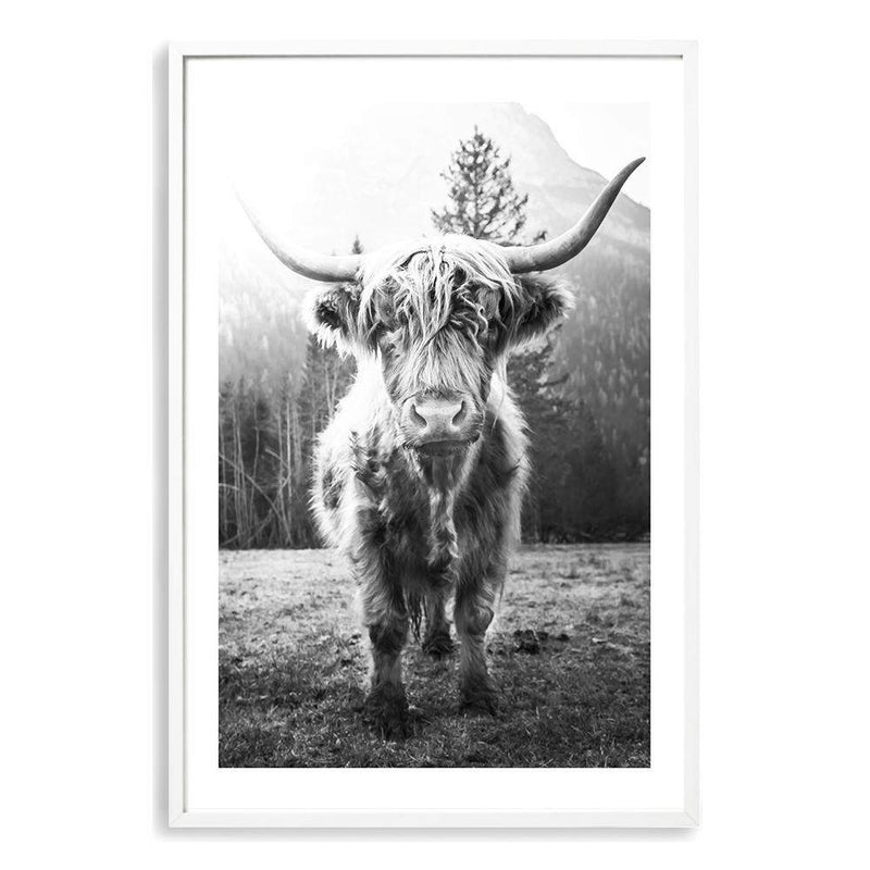 Humphry The Highland Cow II-The Paper Tree-Artwork,black & white,black and white,bohemian,boho,highland bull,highland cattle,highland cow,monochrome,nature,portrait,premium art print,wall art,Wall_Art,Wall_Art_Prints