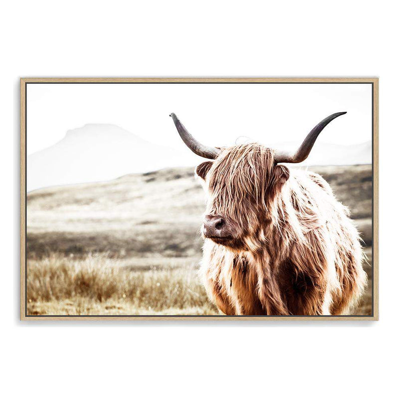 Hamish The Highland Cow-The Paper Tree-bull,cattle,cow,highland,highland bull,highland cattle,highland cow,landscape,nature,premium art print,TAN,wall art,Wall_Art,Wall_Art_Prints