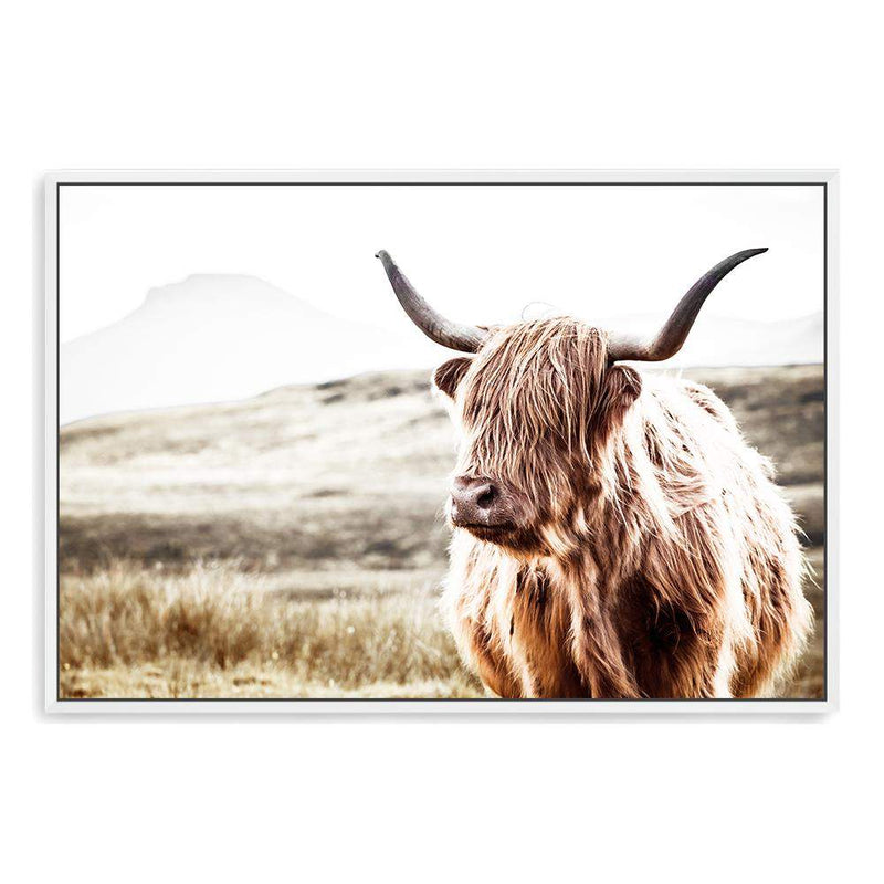 Hamish The Highland Cow-The Paper Tree-bull,cattle,cow,highland,highland bull,highland cattle,highland cow,landscape,nature,premium art print,TAN,wall art,Wall_Art,Wall_Art_Prints