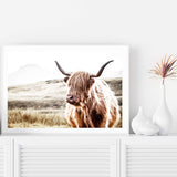 Hamish The Highland Cow-The Paper Tree-bull,cattle,cow,highland,highland bull,highland cattle,highland cow,landscape,nature,premium art print,TAN,wall art,Wall_Art,Wall_Art_Prints