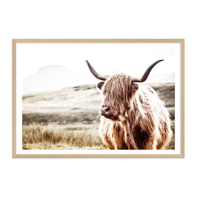 Hamish The Highland Cow-The Paper Tree-bull,cattle,cow,highland,highland bull,highland cattle,highland cow,landscape,nature,premium art print,TAN,wall art,Wall_Art,Wall_Art_Prints