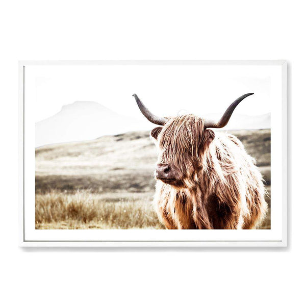 Hamish The Highland Cow-The Paper Tree-bull,cattle,cow,highland,highland bull,highland cattle,highland cow,landscape,nature,premium art print,TAN,wall art,Wall_Art,Wall_Art_Prints