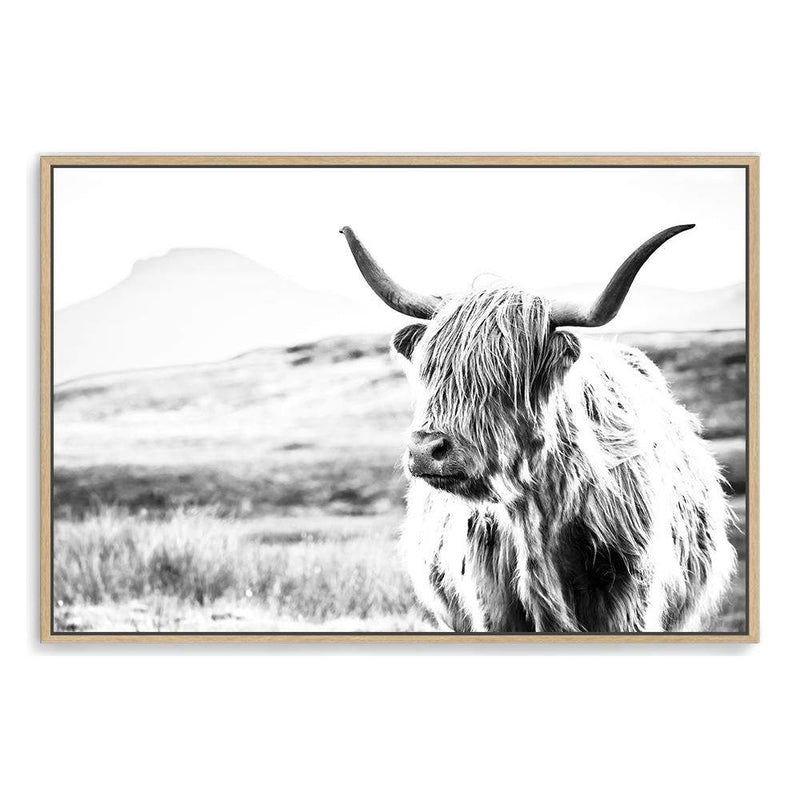 Hamish The Highland Cow II-The Paper Tree-black & white,BLACK AND WHITE,bull,cattle,cow,highland,highland bull,highland cattle,highland cow,landscape,monochrome,nature,premium art print,wall art,Wall_Art,Wall_Art_Prints