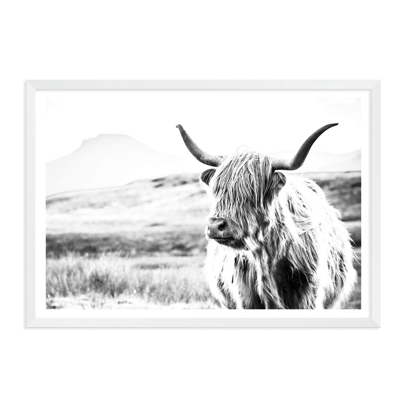 Hamish The Highland Cow II-The Paper Tree-black & white,BLACK AND WHITE,bull,cattle,cow,highland,highland bull,highland cattle,highland cow,landscape,monochrome,nature,premium art print,wall art,Wall_Art,Wall_Art_Prints