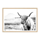 Hamish The Highland Cow II-The Paper Tree-black & white,BLACK AND WHITE,bull,cattle,cow,highland,highland bull,highland cattle,highland cow,landscape,monochrome,nature,premium art print,wall art,Wall_Art,Wall_Art_Prints